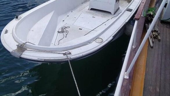 Αλεξανδρούπολη: Συνελήφθη με 400 κιλά αχιβάδες