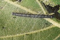 Παρεμβάσεις ΣΥΡΙΖΑ και ΚΚΕ στην Βουλή για τις καταστροφές καλλιεργειών από σκουλήκι