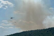 Π. Καλακίκος: Συνεχίζεται το έργο κατάσβεσης της πυρκαγιάς – Μεγάλες οι δυνάμεις στην περιοχή