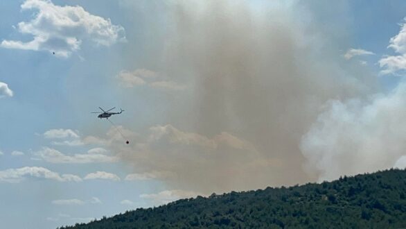 Π. Καλακίκος: Συνεχίζεται το έργο κατάσβεσης της πυρκαγιάς – Μεγάλες οι δυνάμεις στην περιοχή