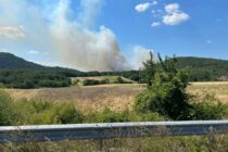 Πυρκαγιά σε δασική έκταση κοντά στην Λύρα – Μεγάλη κινητοποίηση, εναέρια μέσα στην κατάσβεση