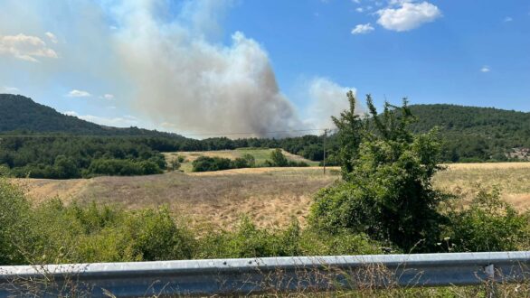 Πυρκαγιά σε δασική έκταση κοντά στην Λύρα – Μεγάλη κινητοποίηση, εναέρια μέσα στην κατάσβεση