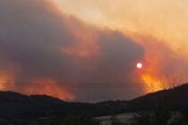 Κυβερνητικό κλιμάκιο φτάνει τα ξημερώματα στη Δαδιά