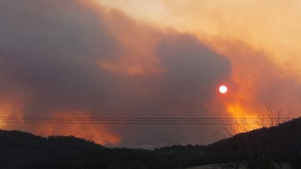 Κυβερνητικό κλιμάκιο φτάνει τα ξημερώματα στη Δαδιά