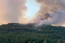Έσβησε η πυρκαγιά στη Δαδιά – Δελησταμάτης: “Το μεγάλο στοίχημα κερδήθηκε”