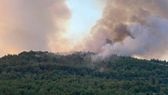 Έσβησε η πυρκαγιά στη Δαδιά – Δελησταμάτης: “Το μεγάλο στοίχημα κερδήθηκε”