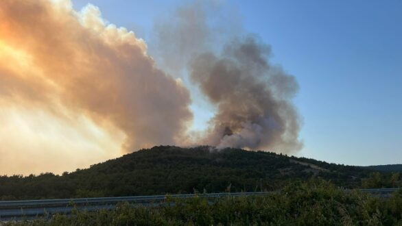 Στυλιανίδης από τη φωτιά στον Έβρο: «Στόχος να αυξήσουμε τις αντιπυρικές ζώνες»