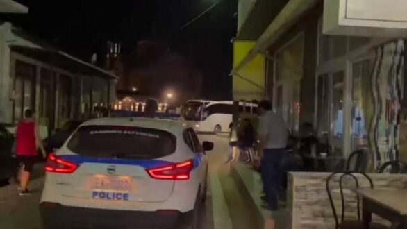 Δαδιά: Η συνδρομή της Αστυνομίας στην εκκένωση του χωριού και τη φύλαξη των περιουσιών