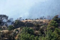 Ευχαριστήριο μήνυμα Δημάρχου Σουφλίου προς όσους συνέδραμαν στην προσπάθεια κατάσβεσης της πυρκαγιάς στο δάσος της Δαδιάς