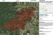 Δαδιά-πυρκαγιά: Η νέα εκτίμηση για τις καμένες εκτάσεις
