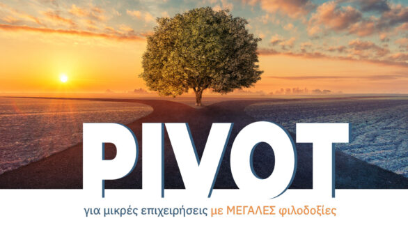 «PIVOT»: Σεμινάριο για μικρές επιχειρήσεις με μεγάλες φιλοδοξίες από το Επιμελητήριο Έβρου