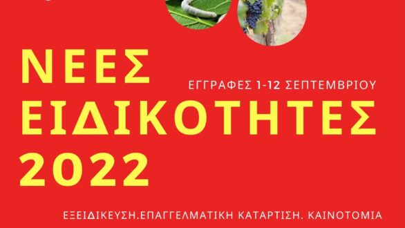 Το Σουφλί υποδέχεται τους πρώτους εκπαιδευόμενους Δ.ΙΕΚ – Ξεκινούν οι εγγραφές