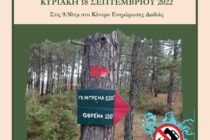 Πεζοπορία στο Δάσος της Δαδιάς