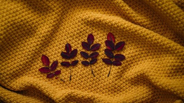 Φθινοπωρινή Ισημερία: Πότε ξεκινά να νυχτώνει νωρίτερα