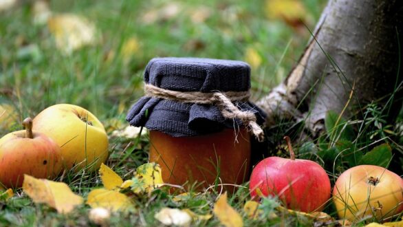 Αναπτυξιακός νόμος: Ξεκινούν οι αιτήσεις για την Αγροδιατροφή