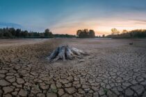 20 φορές πιθανότερες οι σοβαρές καλοκαιρινές ξηρασίες, εξαιτίας της κλιματικής αλλαγής