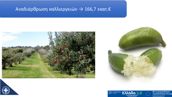 Ολοκληρώθηκε η Μελέτη για την Αναδιάρθρωση των Καλλιεργειών