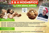 12η γιορτή Μανιταριού στη Δαδιά