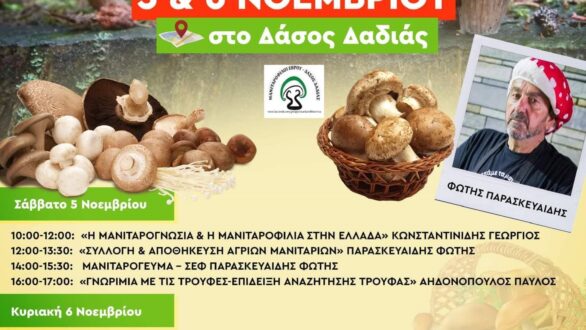 12η γιορτή Μανιταριού στη Δαδιά