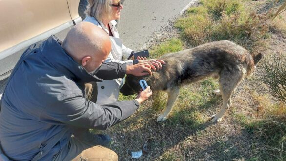 Έλεγχοι σε κτηνοτροφικές ομάδες από κλιμάκιο του Δήμου Αλεξανδρούπολης