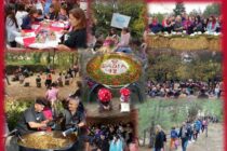 Με μεγάλη επιτυχία πραγματοποιήθηκε  στο Δάσος της Δαδιάς η γιορτή μανιταριού