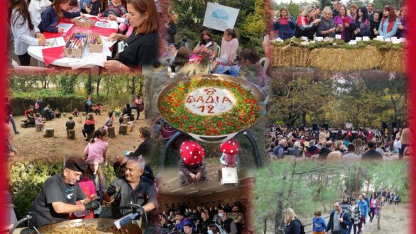 Με μεγάλη επιτυχία πραγματοποιήθηκε  στο Δάσος της Δαδιάς η γιορτή μανιταριού