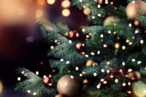 Φωταγώγηση Χριστουγεννιάτικου Δέντρου στον Πύργο Ορεστιάδας