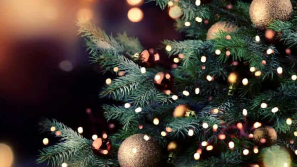 Φωταγώγηση Χριστουγεννιάτικου Δέντρου στον Πύργο Ορεστιάδας