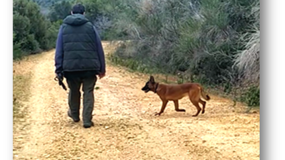 Κάμερες «αιχμαλώτισαν» επί 4 χρόνια την πανίδα της Ροδόπης