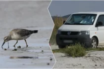 Απαγόρευση διέλευσης τροχοφόρων οχημάτων στο οδικό δίκτυο εντός του καταφύγιου Άγριων Zώων του Δέλτα του Έβρου