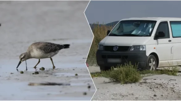 Απαγόρευση διέλευσης τροχοφόρων οχημάτων στο οδικό δίκτυο εντός του καταφύγιου Άγριων Zώων του Δέλτα του Έβρου