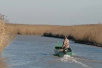 Αμφίβια μηχανήματα για κοπή καλαμιών στη Λίμνη Παμβώτιδα και το Δέλτα Έβρου