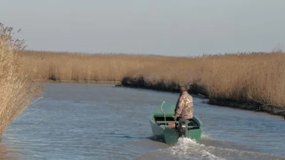 Αμφίβια μηχανήματα για κοπή καλαμιών στη Λίμνη Παμβώτιδα και το Δέλτα Έβρου