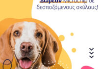 Δωρεάν τοποθέτηση microchip σε δεσποζόμενους σκύλους με αφορμή την Παγκόσμια Ημέρα Αδεσπότων Ζώων