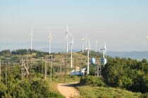 “Όχι” από το Δημοτικό Συμβούλιο Σουφλίου στην εγκατάσταση ανεμογεννητριών στο Δάσος Δαδιάς