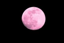 Πανσέληνος Απριλίου: Πότε έρχεται το Ροζ Φεγγάρι