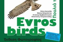 Σουφλί: Εγκαίνια για την έκθεση φωτογραφίας “Πουλιά του Έβρου/ Evros Birds”