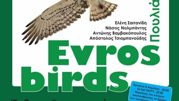 Σουφλί: Εγκαίνια για την έκθεση φωτογραφίας “Πουλιά του Έβρου/ Evros Birds”
