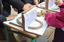 Χελιδονίσματα 2023!