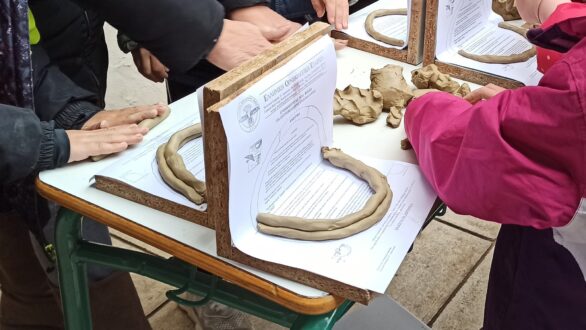 Χελιδονίσματα 2023!