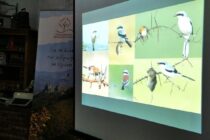 Έκθεση φωτογραφίας πουλιών της περιοχής του Έβρου στο Κουκουλόσπιτο