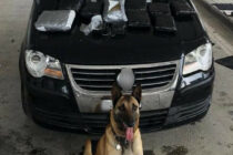 Η Λάικα εντόπισε κρυμμένα 27 κιλά ναρκωτικά