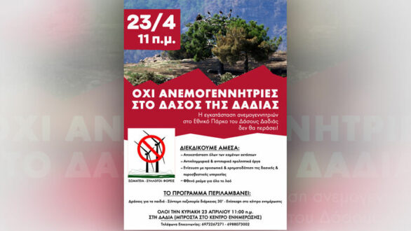 Δράση συλλόγων, σωματείων & φορέων ενάντια στην εγκατάσταση ανεμογεννητριών στο Δάσος Δαδιάς