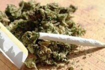 Συλλήψεις 10 ατόμων για ναρκωτικά σε Ορεστιάδα και Αλεξανδρούπολη – Συν 4 σε Καβάλα και Δράμα