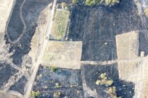 Το μέγεθος της καταστροφικής πυρκαγιάς στην Οινόη Ορεστιάδας