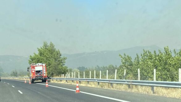 Φωτιά από τα ξημερώματα σε περιοχές της Αλεξανδρούπολης – Μεγάλος κίνδυνος σήμερα σε όλο τον Έβρο
