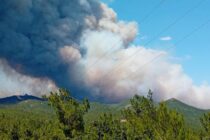 Έκκληση σε αγρότες με τρακτέρ για την διάνοιξη αντιπυρικών ζωνών στους Δήμους Αλεξανδρούπολης και Σουφλίου