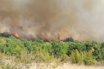 Π. Παυλίδης: “Δύο παιδάκια ανάμεσα στους δεκαοχτώ απανθρακωμένους”