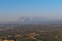 Φωτιά στο Δάσος της Δαδιάς-Λευκίμης | Ροή ειδήσεων 2ης μέρας