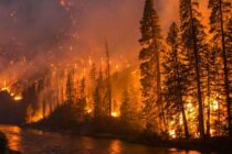 Κομισιόν: Η φωτιά στον Έβρο είναι η μεγαλύτερη στην ιστορία της Ευρωπαϊκής Ένωσης